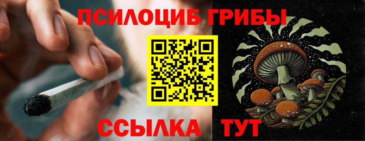 Псилоцибиновые грибы Psilocybe Лангепас
