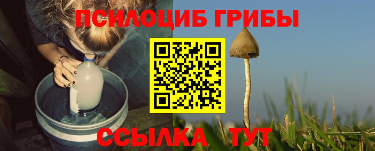 Галлюциногенные грибы Psilocybine cubensis  хочу наркоту  Вход с VPN  Лангепас  Галлюциногенные грибы Psilocybine cubensis 
